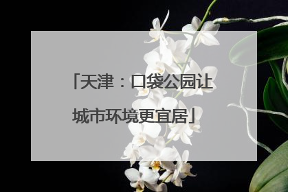 天津：口袋公园让城市环境更宜居