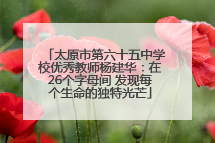 太原市第六十五中学校优秀教师杨建华：在26个字母间 发现每个生命的独特光芒