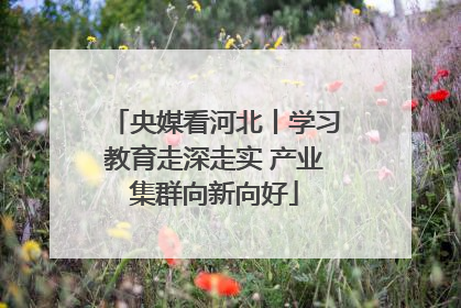 央媒看河北丨学习教育走深走实 产业集群向新向好