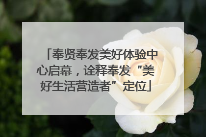 奉贤奉发美好体验中心启幕，诠释奉发“美好生活营造者”定位