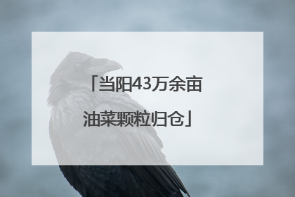 当阳43万余亩油菜颗粒归仓