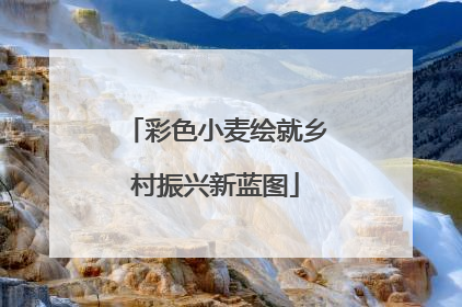 彩色小麦绘就乡村振兴新蓝图