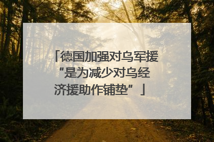 德国加强对乌军援 “是为减少对乌经济援助作铺垫”
