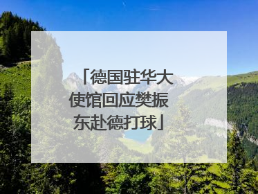 德国驻华大使馆回应樊振东赴德打球