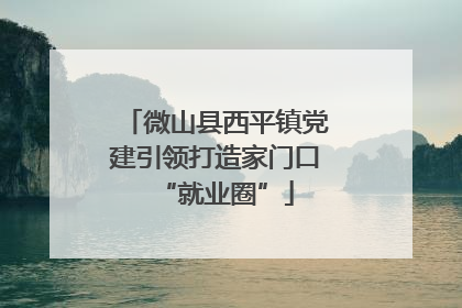 微山县西平镇党建引领打造家门口“就业圈”