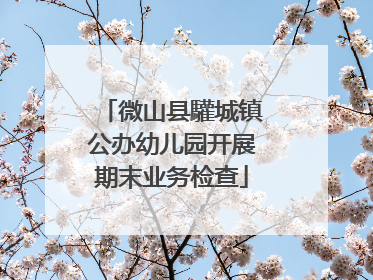 微山县驩城镇公办幼儿园开展期末业务检查