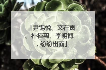 尹锡悦、文在寅、朴槿惠、李明博，纷纷出面