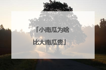 小南瓜为啥比大南瓜贵