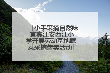小手采摘自然味 宜宾江安西江小学开展劳动基地蔬菜采摘售卖活动