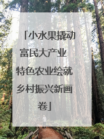 小水果撬动富民大产业 特色农业绘就乡村振兴新画卷