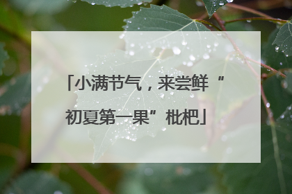 小满节气，来尝鲜“初夏第一果”枇杷