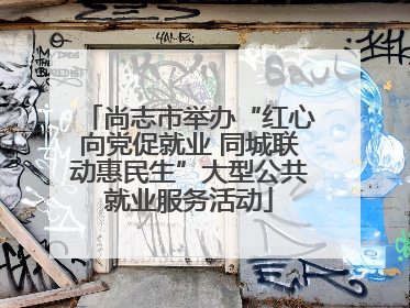 尚志市举办“红心向党促就业 同城联动惠民生”大型公共就业服务活动