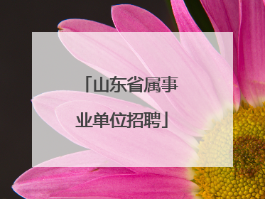 山东省属事业单位招聘