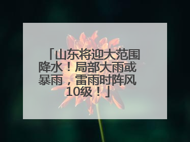 山东将迎大范围降水！局部大雨或暴雨，雷雨时阵风10级！