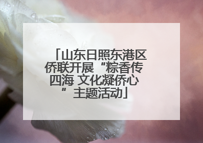 山东日照东港区侨联开展“粽香传四海 文化凝侨心”主题活动