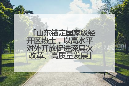 山东锚定国家级经开区热土，以高水平对外开放促进深层次改革、高质量发展
