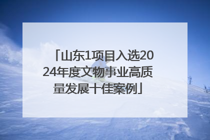 山东1项目入选2024年度文物事业高质量发展十佳案例