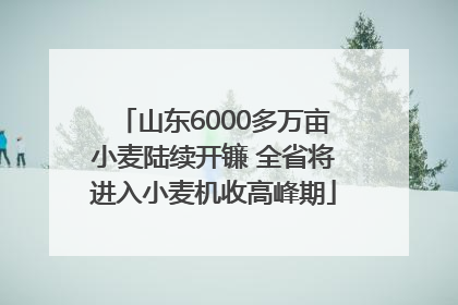 山东6000多万亩小麦陆续开镰 全省将进入小麦机收高峰期