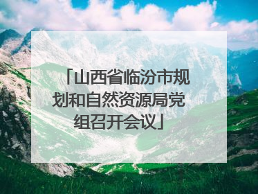 山西省临汾市规划和自然资源局党组召开会议