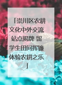 崇川区农耕文化中外交流站点揭牌 留学生田间挥镰体验农耕之乐