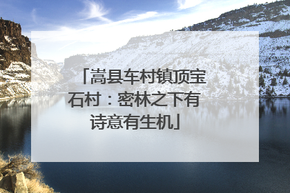 嵩县车村镇顶宝石村：密林之下有诗意有生机