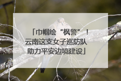 巾帼绘“枫警”！云南这支女子巡防队助力平安边境建设