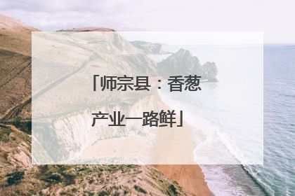 师宗县：香葱产业一路鲜