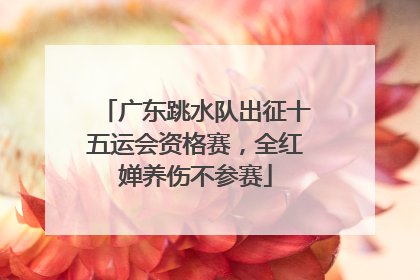 广东跳水队出征十五运会资格赛，全红婵养伤不参赛