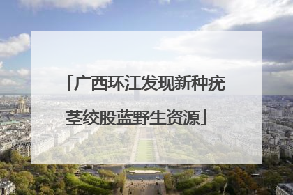 广西环江发现新种疣茎绞股蓝野生资源
