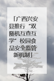 广西兴安县推行“双随机互查互学”校园食品安全监管新机制