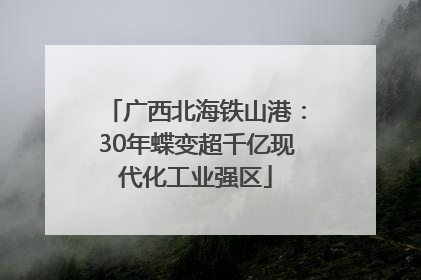 广西北海铁山港：30年蝶变超千亿现代化工业强区