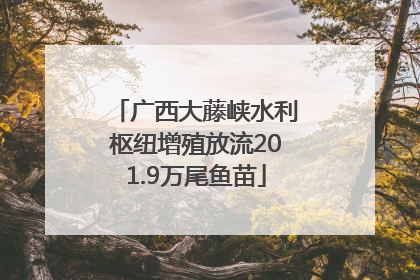 广西大藤峡水利枢纽增殖放流201.9万尾鱼苗