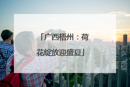 广西梧州：荷花绽放迎盛夏
