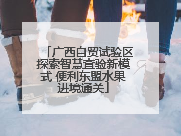 广西自贸试验区探索智慧查验新模式 便利东盟水果进境通关