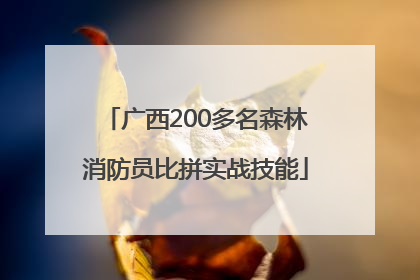 广西200多名森林消防员比拼实战技能