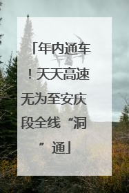 年内通车！天天高速无为至安庆段全线“洞”通