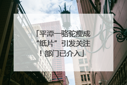 平潭一骆驼瘦成“纸片”引发关注！部门已介入