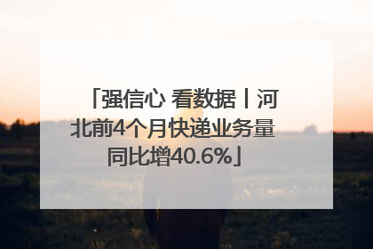 强信心 看数据丨河北前4个月快递业务量同比增40.6%