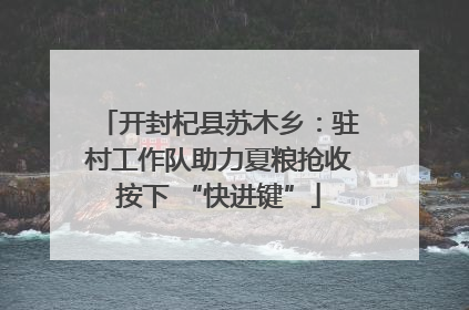 开封杞县苏木乡：驻村工作队助力夏粮抢收按下 “快进键”