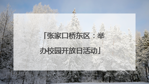 张家口桥东区：举办校园开放日活动