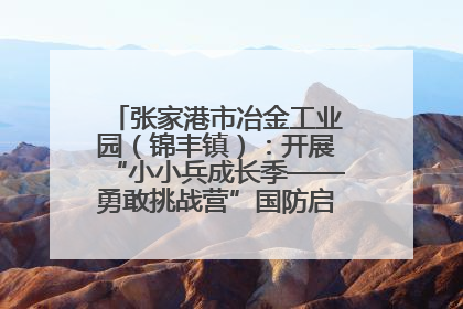 张家港市冶金工业园（锦丰镇）：开展“小小兵成长季——勇敢挑战营”国防启蒙教育活动