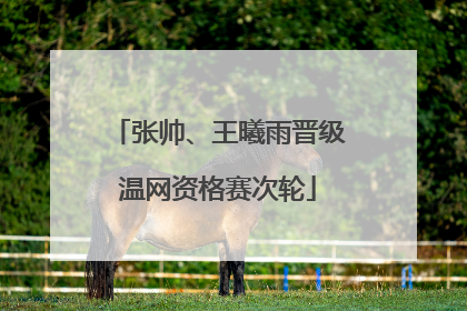 张帅、王曦雨晋级温网资格赛次轮