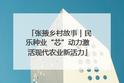 张掖乡村故事｜民乐种业“芯”动力激活现代农业新活力
