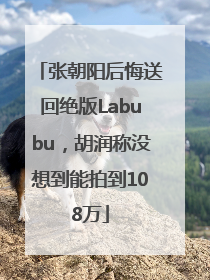 张朝阳后悔送回绝版Labubu，胡润称没想到能拍到108万