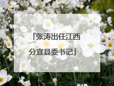 张涛出任江西分宜县委书记