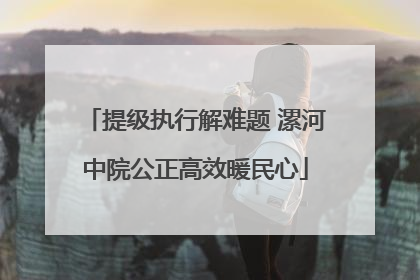 提级执行解难题 漯河中院公正高效暖民心