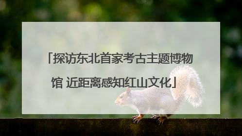 探访东北首家考古主题博物馆 近距离感知红山文化