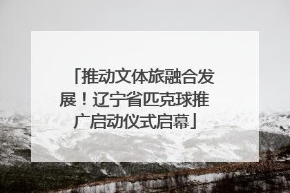 推动文体旅融合发展！辽宁省匹克球推广启动仪式启幕