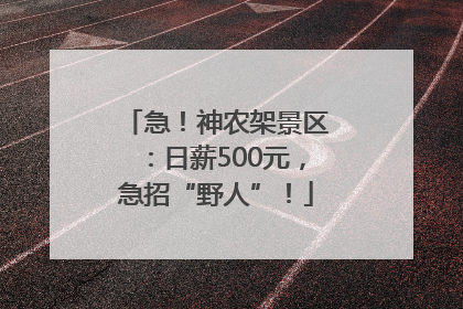 急！神农架景区：日薪500元，急招“野人”！