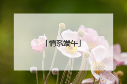 情系端午